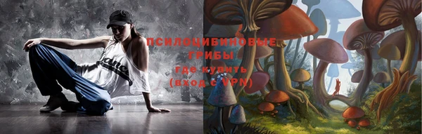 ECSTASY Алзамай
