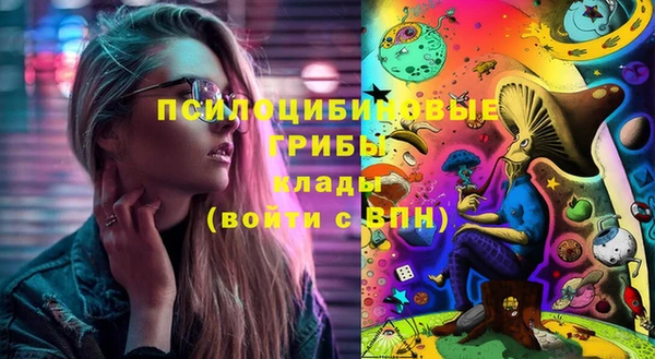 ECSTASY Алзамай