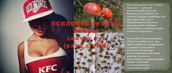 ECSTASY Алзамай