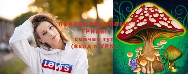 герыч Алексин