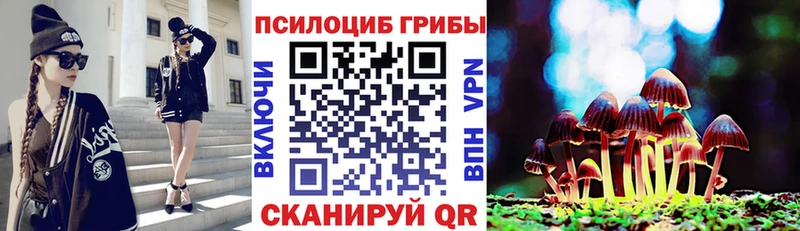 Галлюциногенные грибы GOLDEN TEACHER  Опочка 